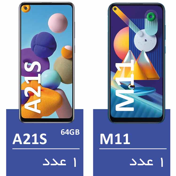 سبد61